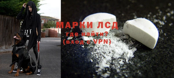 apvp Магас