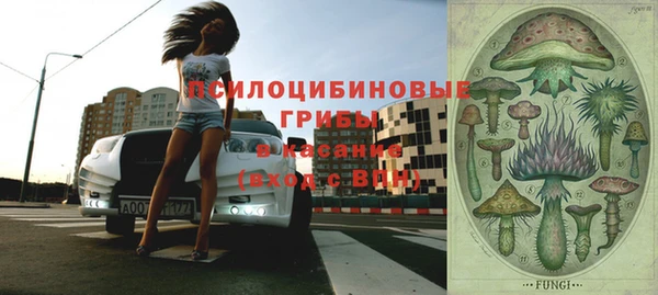 сатива Новый Уренгой