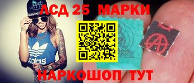 гидропоника Гатчина