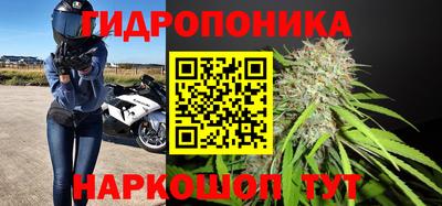 Альфа ПВП Гагарин