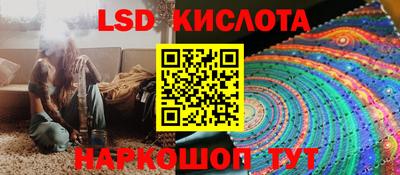 гидропоника Гатчина