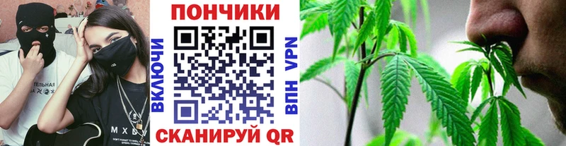 где купить наркоту  Сочи  Каннабис сатива 